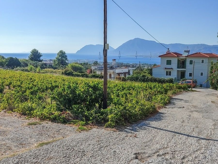 Οικόπεδο 800 τ.μ., Προς πώληση, Ρίο, Πλατάνι - 2