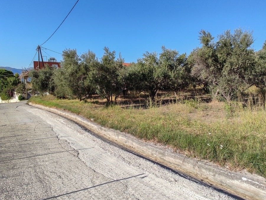 Οικόπεδο 800 τ.μ., Προς πώληση, Ρίο, Πλατάνι - 6