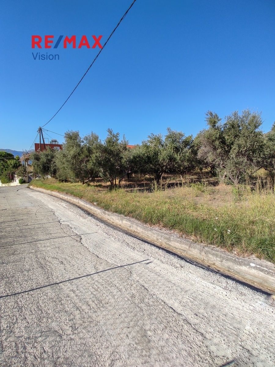 Οικόπεδο 800 τ.μ., Προς πώληση, Ρίο, Πλατάνι - 6