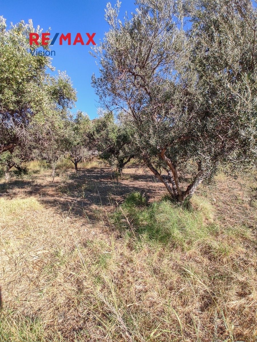 Οικόπεδο 800 τ.μ., Προς πώληση, Ρίο, Πλατάνι - 8