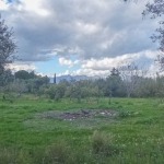 Land Plot 4800 m², For sale, Rio, Psathopirgos (543869) - 1