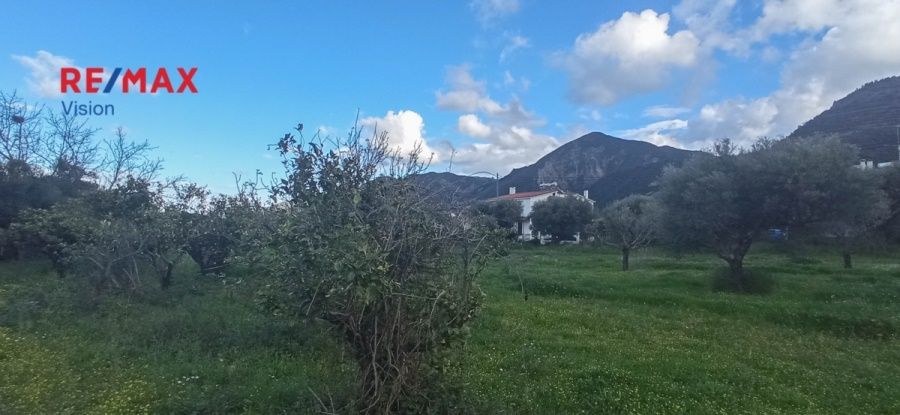Οικόπεδο 4800 τ.μ., Προς πώληση, Ρίο, Ψαθόπυργος - 11