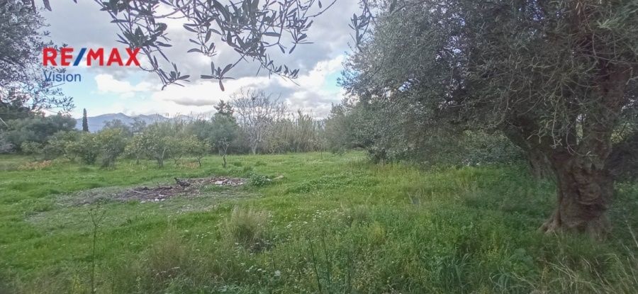 Οικόπεδο 4800 τ.μ., Προς πώληση, Ρίο, Ψαθόπυργος - 3