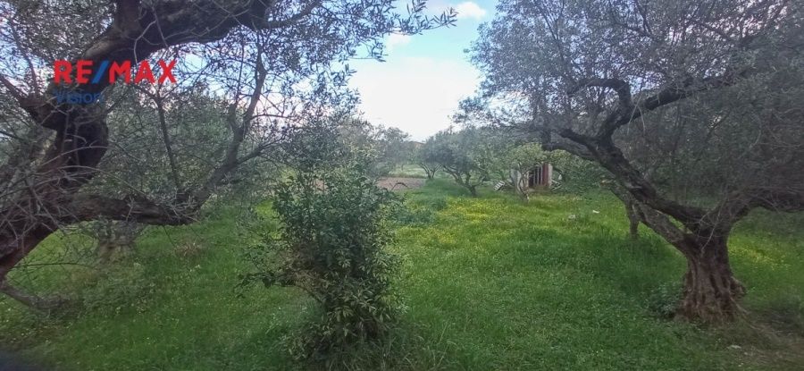Οικόπεδο 4800 τ.μ., Προς πώληση, Ρίο, Ψαθόπυργος - 7