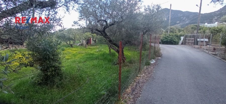 Οικόπεδο 4800 τ.μ., Προς πώληση, Ρίο, Ψαθόπυργος - 8