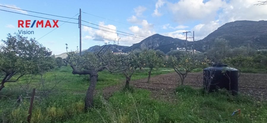 Οικόπεδο 4800 τ.μ., Προς πώληση, Ρίο, Ψαθόπυργος - 9