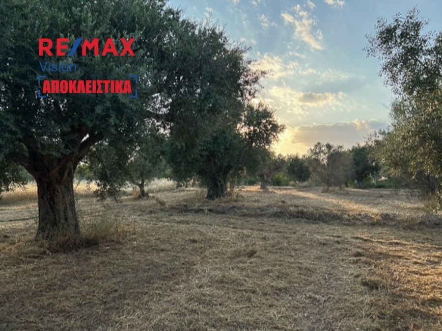 Αγροτεμάχιο 5144 τ.μ., Προς πώληση, Ρίο, Ψαθόπυργος - 10