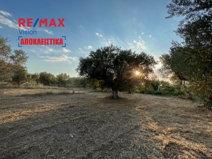 Αγροτεμάχιο 5144 τ.μ., Προς πώληση, Ρίο, Ψαθόπυργος - 11