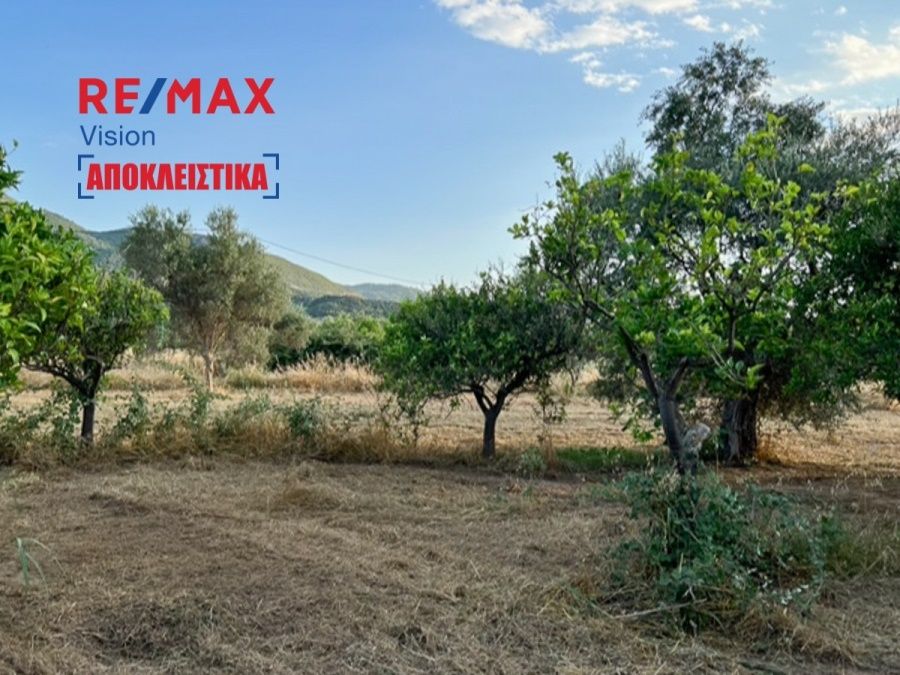 Αγροτεμάχιο 5144 τ.μ., Προς πώληση, Ρίο, Ψαθόπυργος - 3
