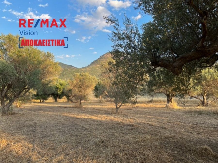 Αγροτεμάχιο 5144 τ.μ., Προς πώληση, Ρίο, Ψαθόπυργος - 6
