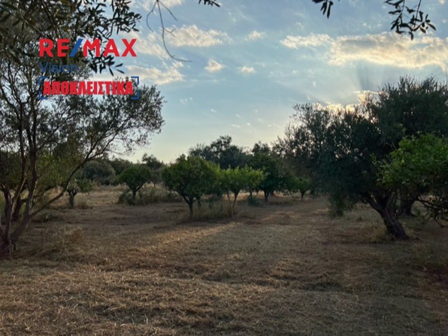 Αγροτεμάχιο 5144 τ.μ., Προς πώληση, Ρίο, Ψαθόπυργος - 7