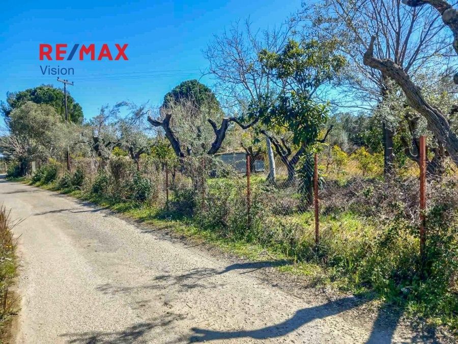 Οικόπεδο 5094 τ.μ., Προς πώληση, Αιγιάλεια, Λόγγος - 3
