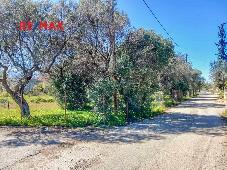 Οικόπεδο 5094 τ.μ., Προς πώληση, Αιγιάλεια, Λόγγος - 6