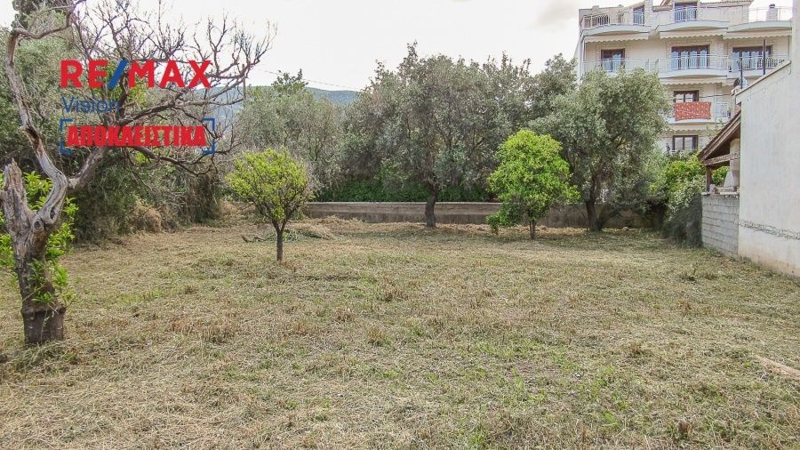 Οικόπεδο 609 τ.μ., Προς πώληση, Ιτέα - 4