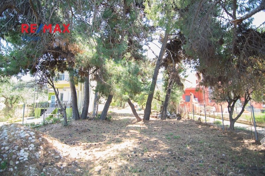 Οικόπεδο 630,03 τ.μ., Προς πώληση, Βραχναίικα, Τσουκαλαίικα - 6