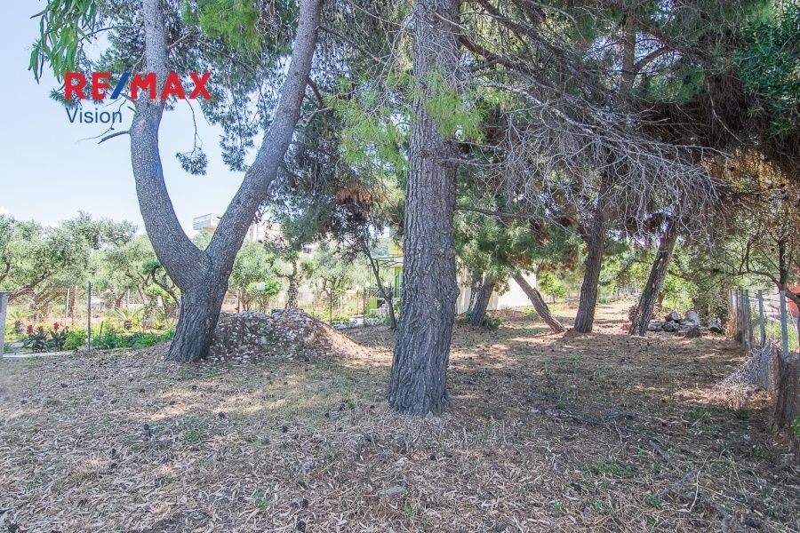 Οικόπεδο 630,03 τ.μ., Προς πώληση, Βραχναίικα, Τσουκαλαίικα - 8