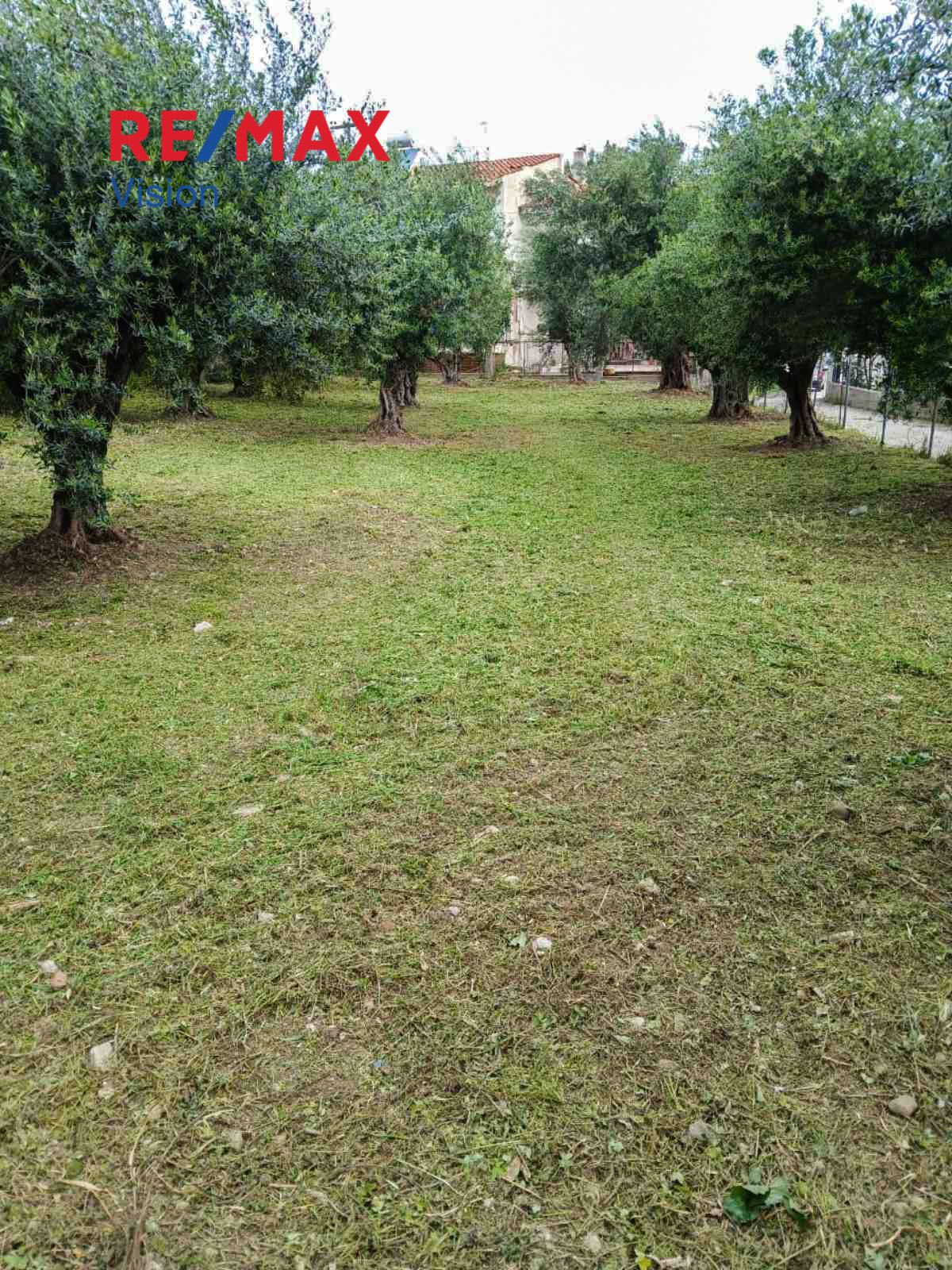 543999 – 1 Οικόπεδο 570 τ.μ., Προς πώληση, Ρίο, Άγιος Βασίλειος - 1