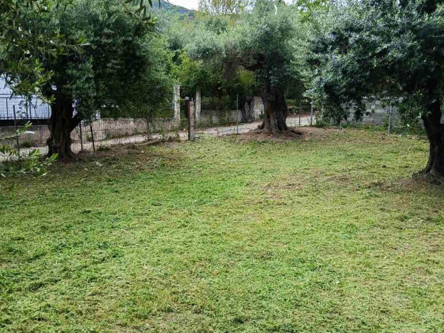 Οικόπεδο 570 τ.μ., Προς πώληση, Ρίο, Άγιος Βασίλειος - 10