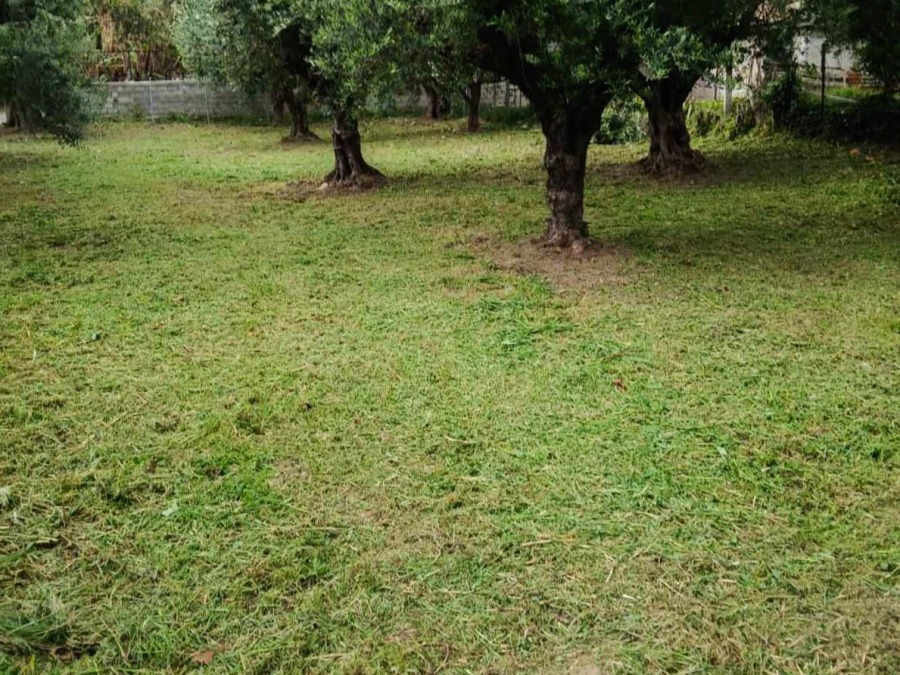 Οικόπεδο 570 τ.μ., Προς πώληση, Ρίο, Άγιος Βασίλειος - 4