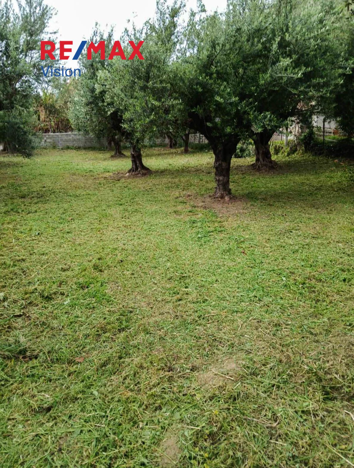 543999 – 4 Οικόπεδο 570 τ.μ., Προς πώληση, Ρίο, Άγιος Βασίλειος - 4