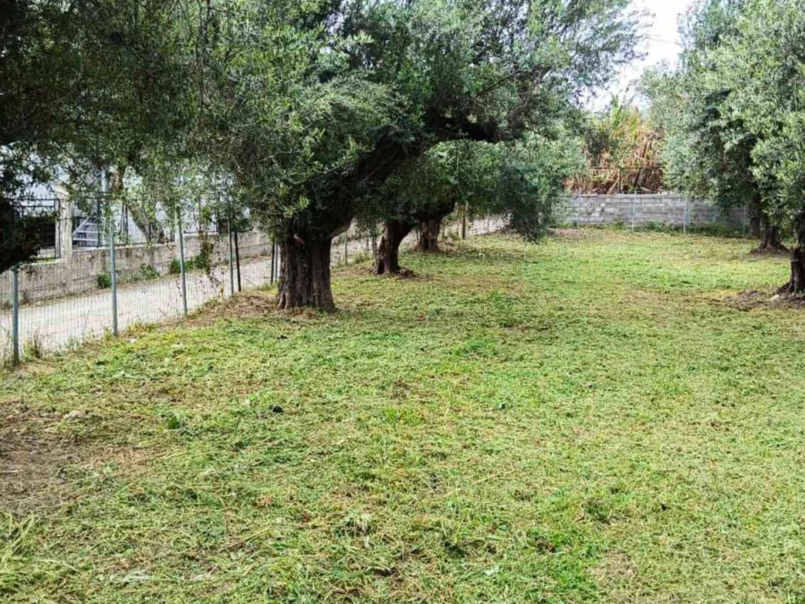 Οικόπεδο 570 τ.μ., Προς πώληση, Ρίο, Άγιος Βασίλειος - 5