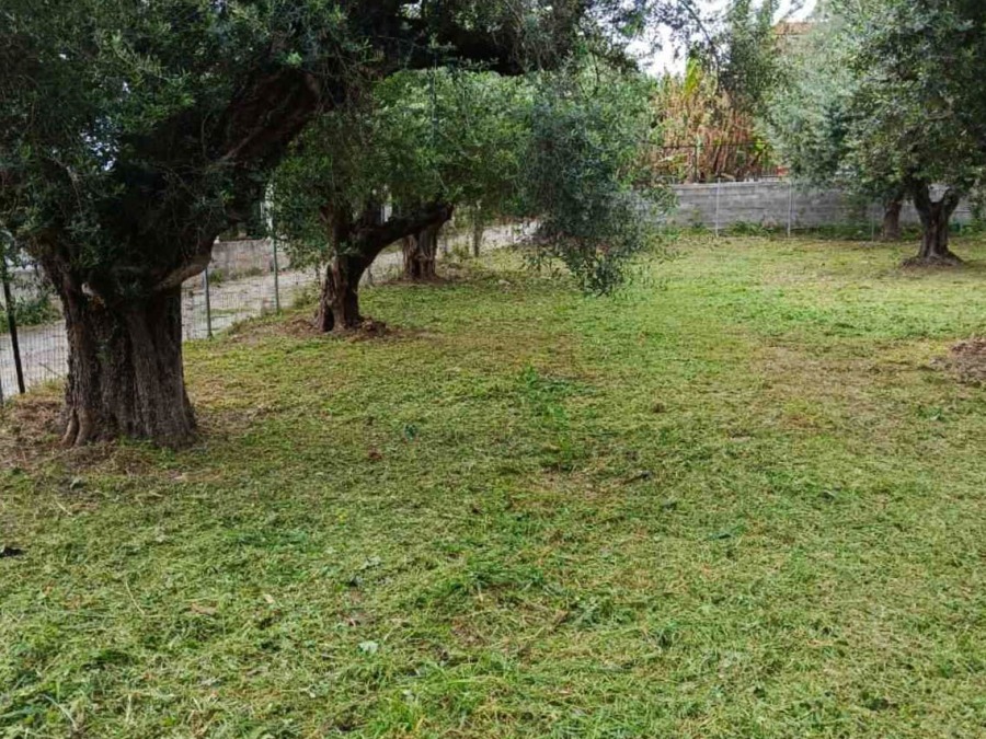 Οικόπεδο 570 τ.μ., Προς πώληση, Ρίο, Άγιος Βασίλειος - 7