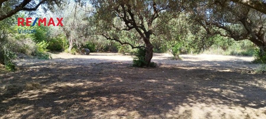 Οικόπεδο 2465 τ.μ., Προς πώληση, Πάτρα - 10