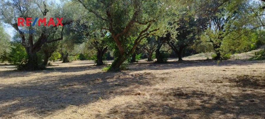 Οικόπεδο 2465 τ.μ., Προς πώληση, Πάτρα - 11
