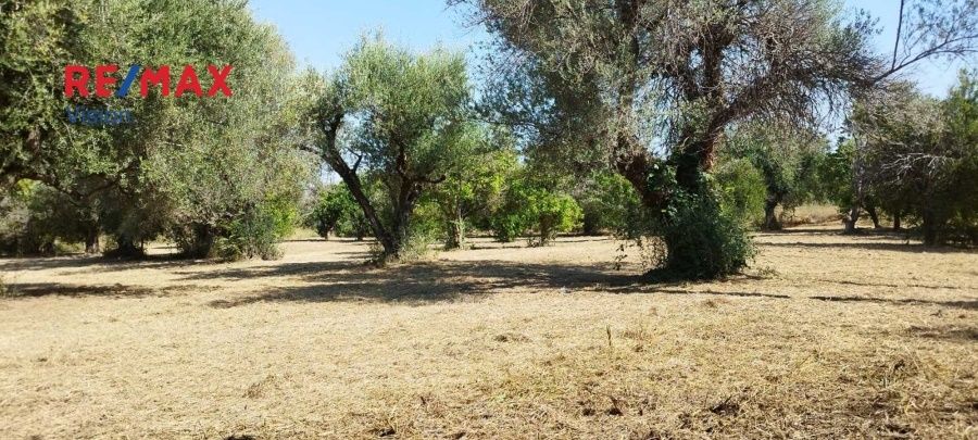 Οικόπεδο 2465 τ.μ., Προς πώληση, Πάτρα - 12