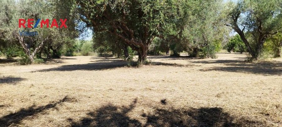 Οικόπεδο 2465 τ.μ., Προς πώληση, Πάτρα - 13