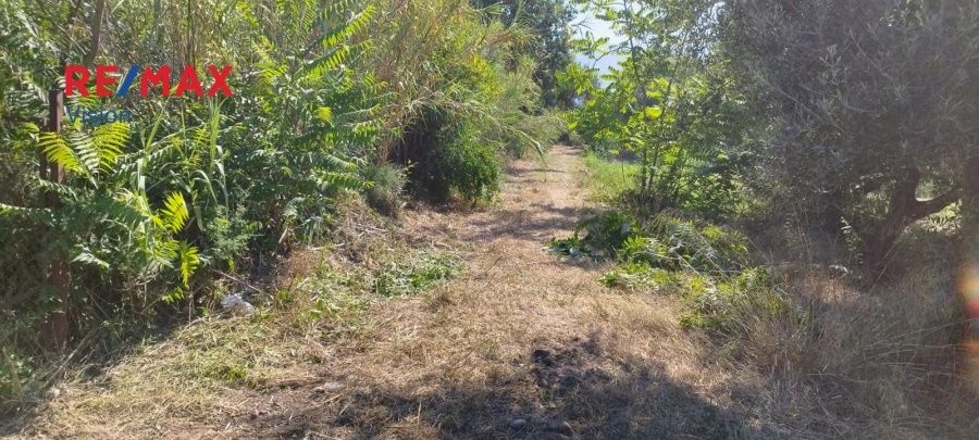 Οικόπεδο 2465 τ.μ., Προς πώληση, Πάτρα - 14