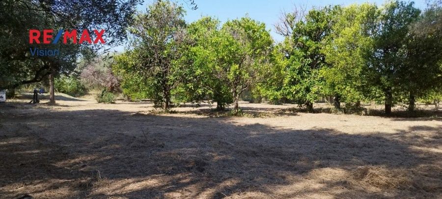 Οικόπεδο 2465 τ.μ., Προς πώληση, Πάτρα - 15