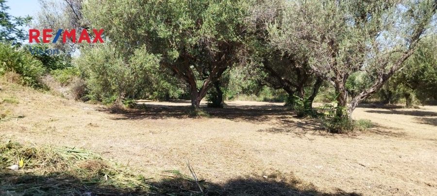 Οικόπεδο 2465 τ.μ., Προς πώληση, Πάτρα - 17