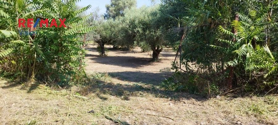 Οικόπεδο 2465 τ.μ., Προς πώληση, Πάτρα - 18