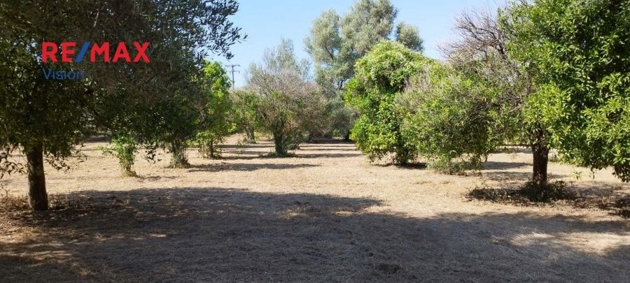 Οικόπεδο 2465 τ.μ., Προς πώληση, Πάτρα - 2