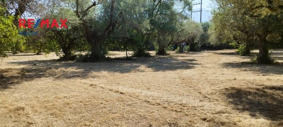 Οικόπεδο 2465 τ.μ., Προς πώληση, Πάτρα - 5