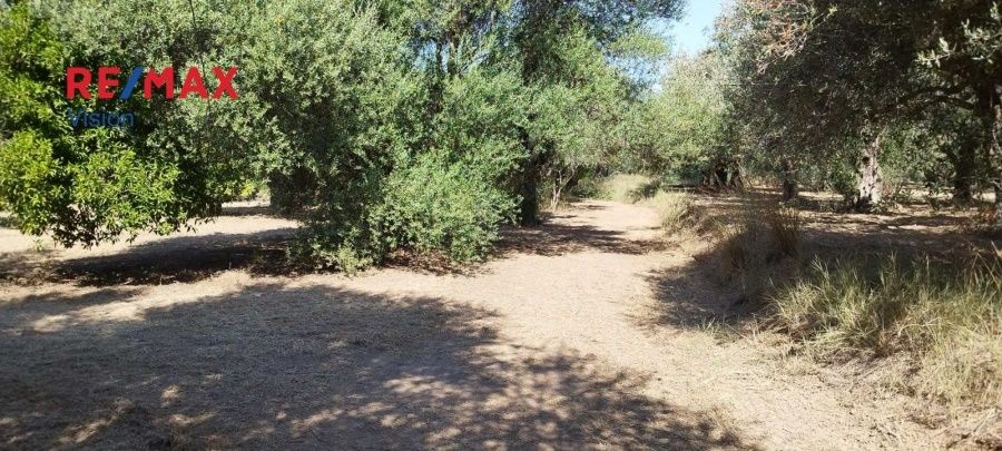 Οικόπεδο 2465 τ.μ., Προς πώληση, Πάτρα - 6