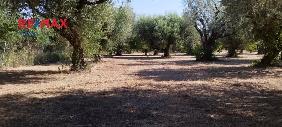 Οικόπεδο 2465 τ.μ., Προς πώληση, Πάτρα - 7