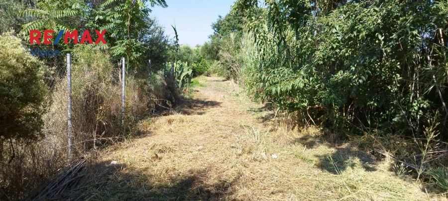 Οικόπεδο 2465 τ.μ., Προς πώληση, Πάτρα - 8