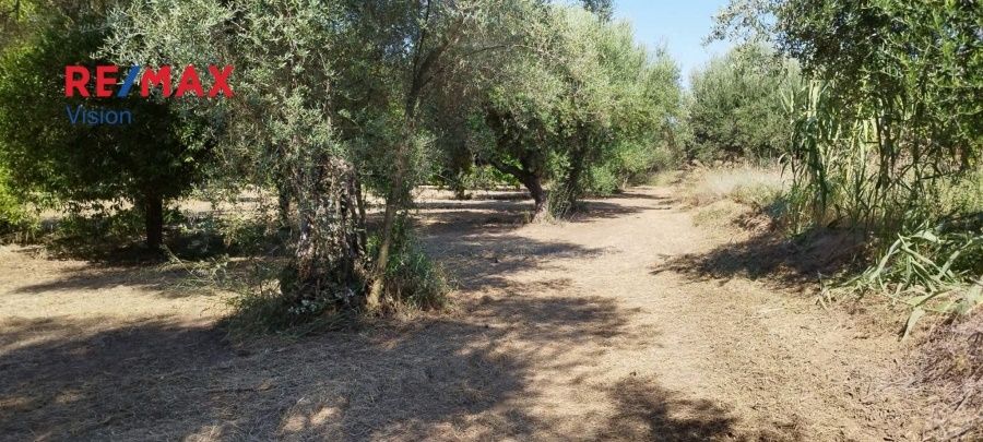 Οικόπεδο 2465 τ.μ., Προς πώληση, Πάτρα - 9