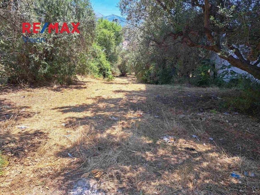 Οικόπεδο 1200 τ.μ., Προς πώληση, Πάτρα, Αρόη - 3