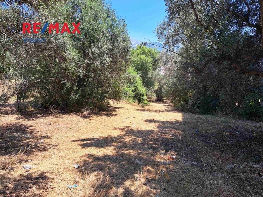 Οικόπεδο 1200 τ.μ., Προς πώληση, Πάτρα, Αρόη - 4