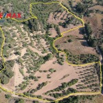 Land Plot 23064 m², For sale, Kythira, Perlegkianika (544040) - 1