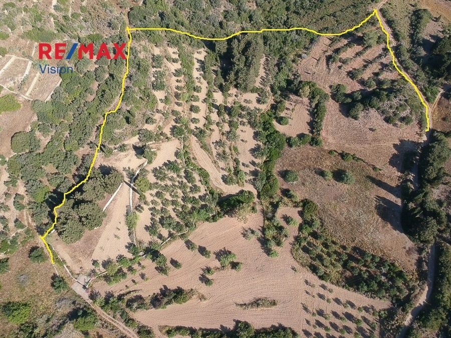 Οικόπεδο 23064 τ.μ., Προς πώληση, Κύθηρα, Περλεγκιάνικα - 2
