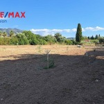 Οικόπεδο 4238 τ.μ., Προς πώληση, Πάτρα, Ιτιές (544055) - 1