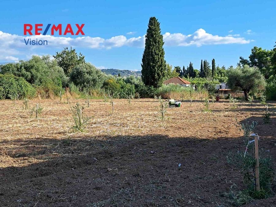 Οικόπεδο 4238 τ.μ., Προς πώληση, Πάτρα, Ιτιές - 2