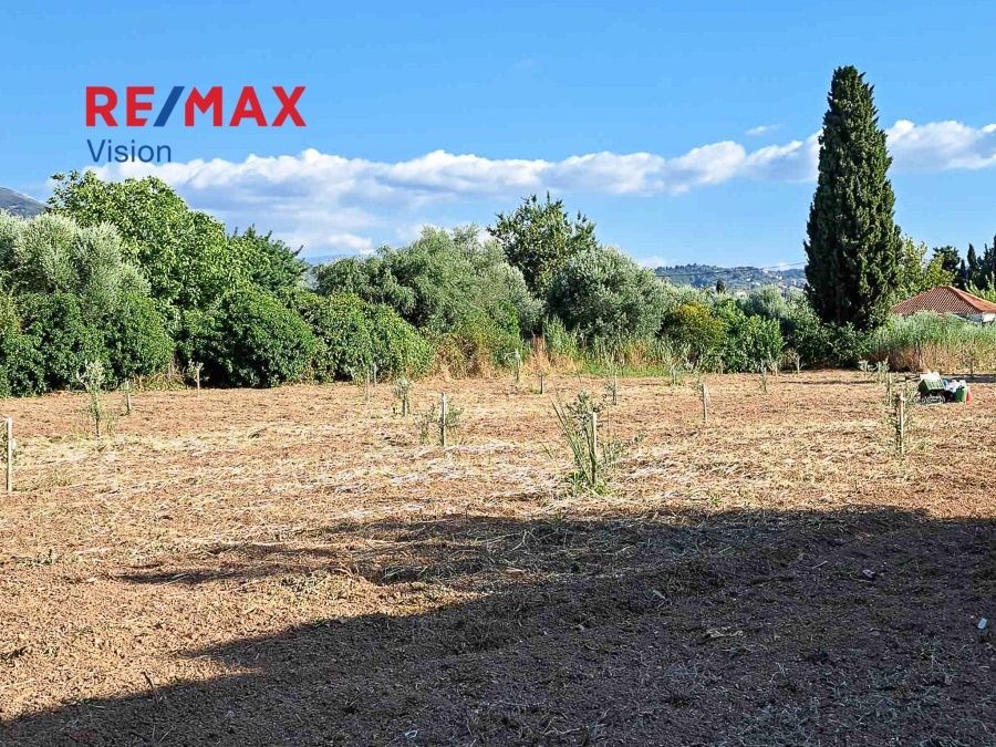 Οικόπεδο 4238 τ.μ., Προς πώληση, Πάτρα, Ιτιές - 3