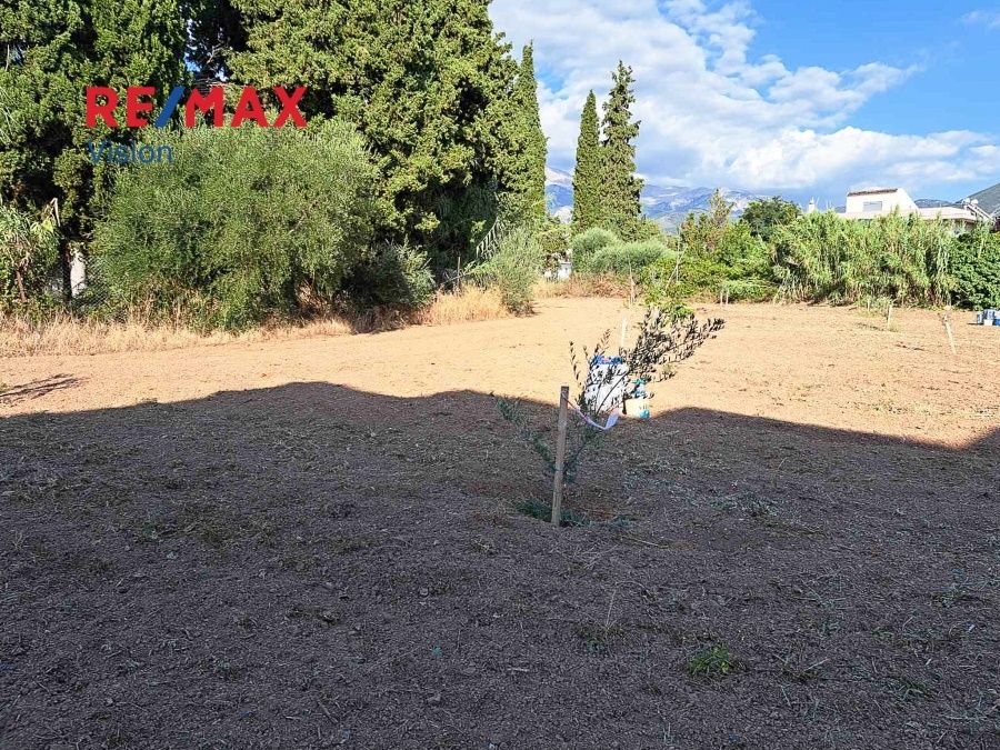 Οικόπεδο 4238 τ.μ., Προς πώληση, Πάτρα, Ιτιές - 5