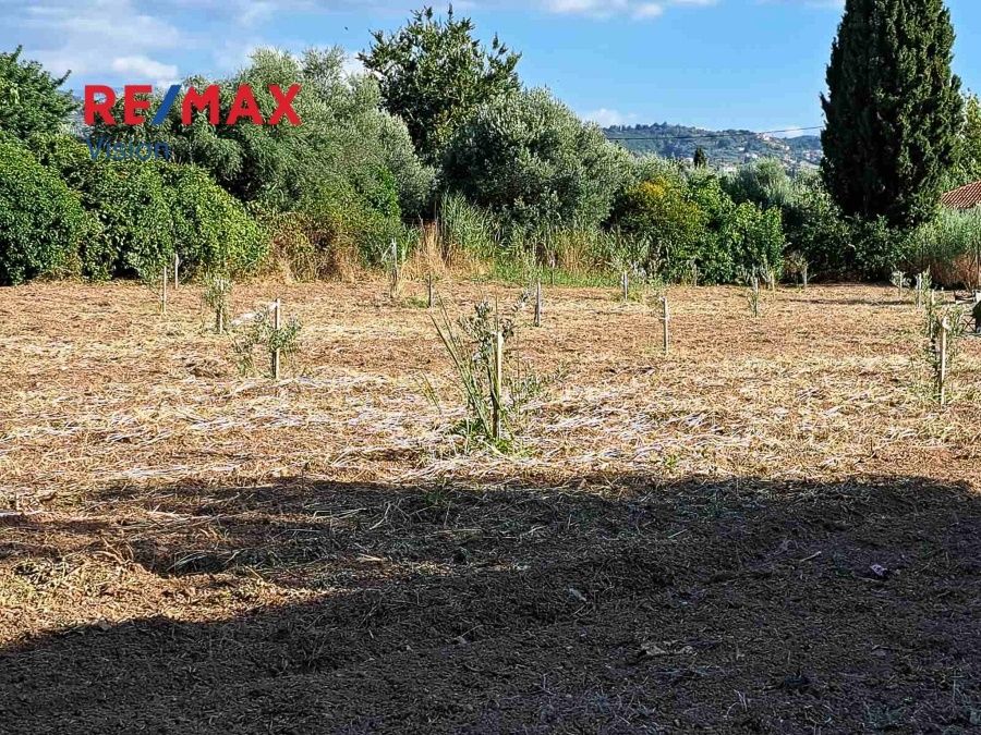 Οικόπεδο 4238 τ.μ., Προς πώληση, Πάτρα, Ιτιές - 8