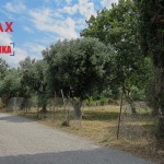 Οικόπεδο 578,14 τ.μ., Προς πώληση, Ευπάλιο, Μαραθιάς (544059) - 1